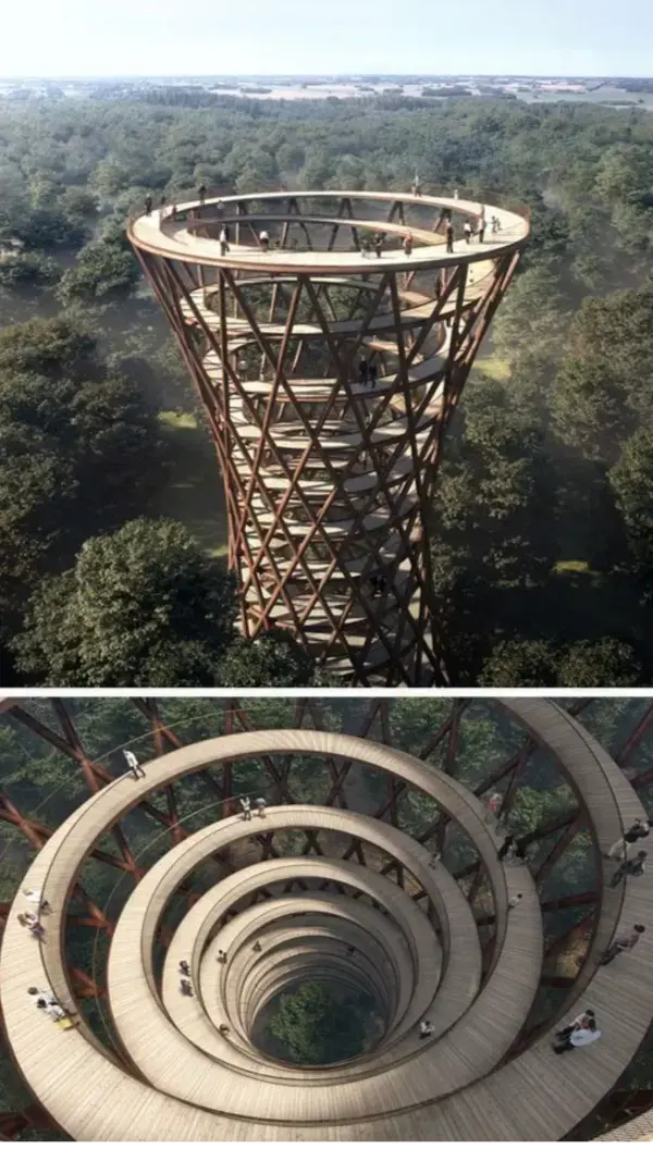 The Treetop Experience of the Camp Adventure recreation park in Denmark