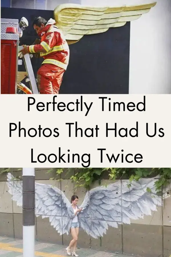 Perfectly Timed Photos That Had Us Looking Twice | Buzzerilla