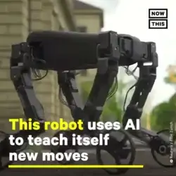 Fascinating Robot using AI