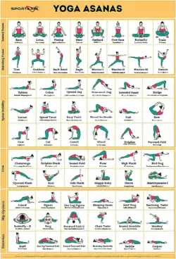 Sportaxis Yoga Poses Poster- 64 Yoga Asanas for Full Body Workout- Laminated Home workout Poster wit