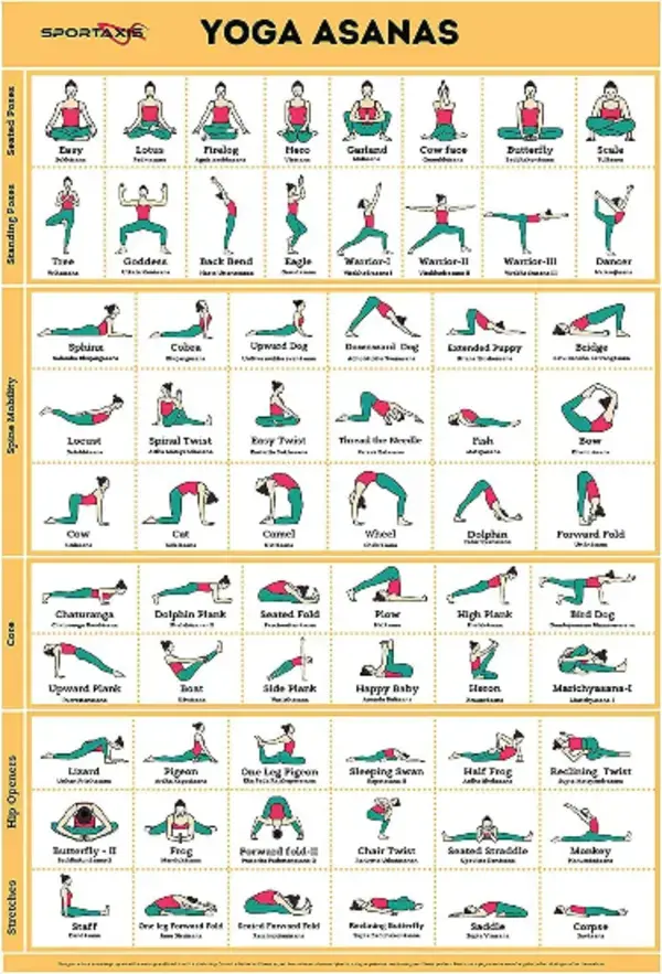 Sportaxis Yoga Poses Poster- 64 Yoga Asanas for Full Body Workout- Laminated Home workout Poster wit