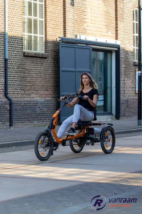 Modern sporty Easy Rider tricycle for adults by Van Raam