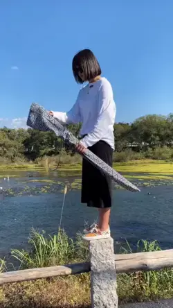 Insane Japanese Katana