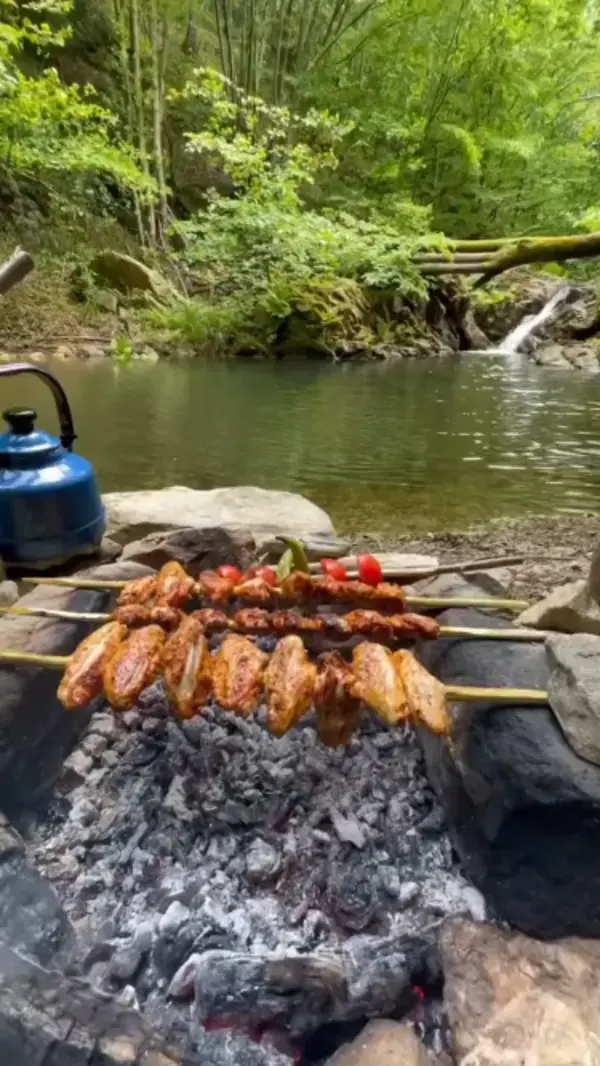 Grilled Wings on Skewers 🐔🏕