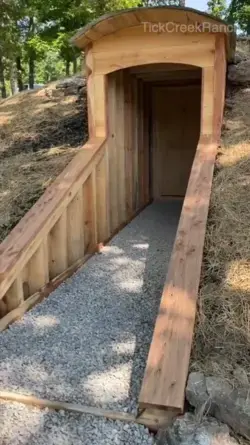 Storm Shelter and Root Cellar: Building for Safety and Sustainability!