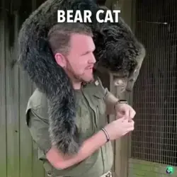 Bearcat