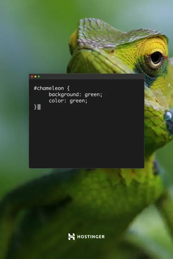 Chameleon | Hostinger | CSS Jokes