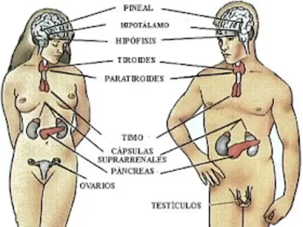 psicologiaendosmares.blogspot.com