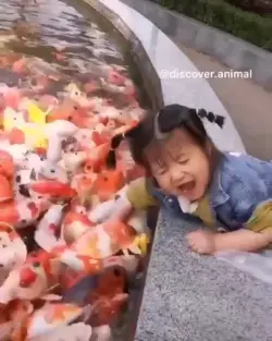 Awww Cute Baby Girl And Beautiful Fish 