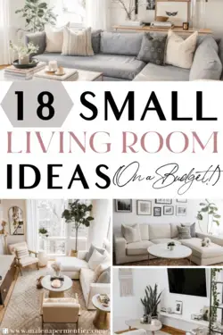 Small Living Room: The 74 Best Ideas (On A Budget!) | Living Room Designs