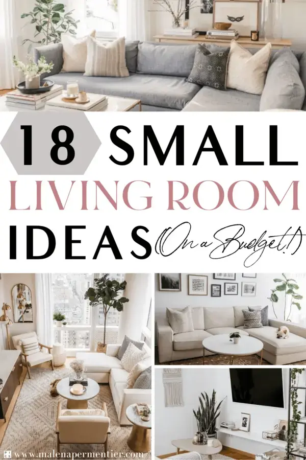 Small Living Room: The 74 Best Ideas (On A Budget!) | Living Room Designs