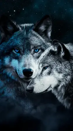 Wolves Couple - Apps on Galaxy Store