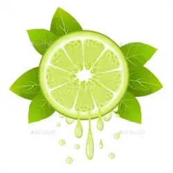 Lime Slice with Juice Drops, Vectors | GraphicRiver