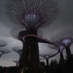 Gardens By the Bay in Singapore