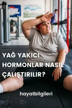 Yağ Yakıcı Hormonlar Nasıl Çalıştırılır?