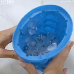 Ice Genie™