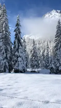 We Are Getting Ready For Christmas - Switzerland Christmas Snow