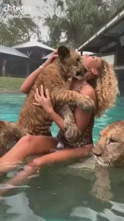 Baby lions like to play with water