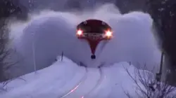 Train Wows 