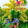 MuhammadHasnain 